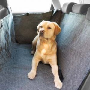 Die besten Auto Hundedecken (Kaufberatung: Welche Decken für den Hund im  Auto kaufen?) - Test