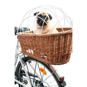 Hunde Fahrradkorb Hinten für E Bike – Die 16 besten Produkte im Vergleich -  Haustierratgeber Ratgeber