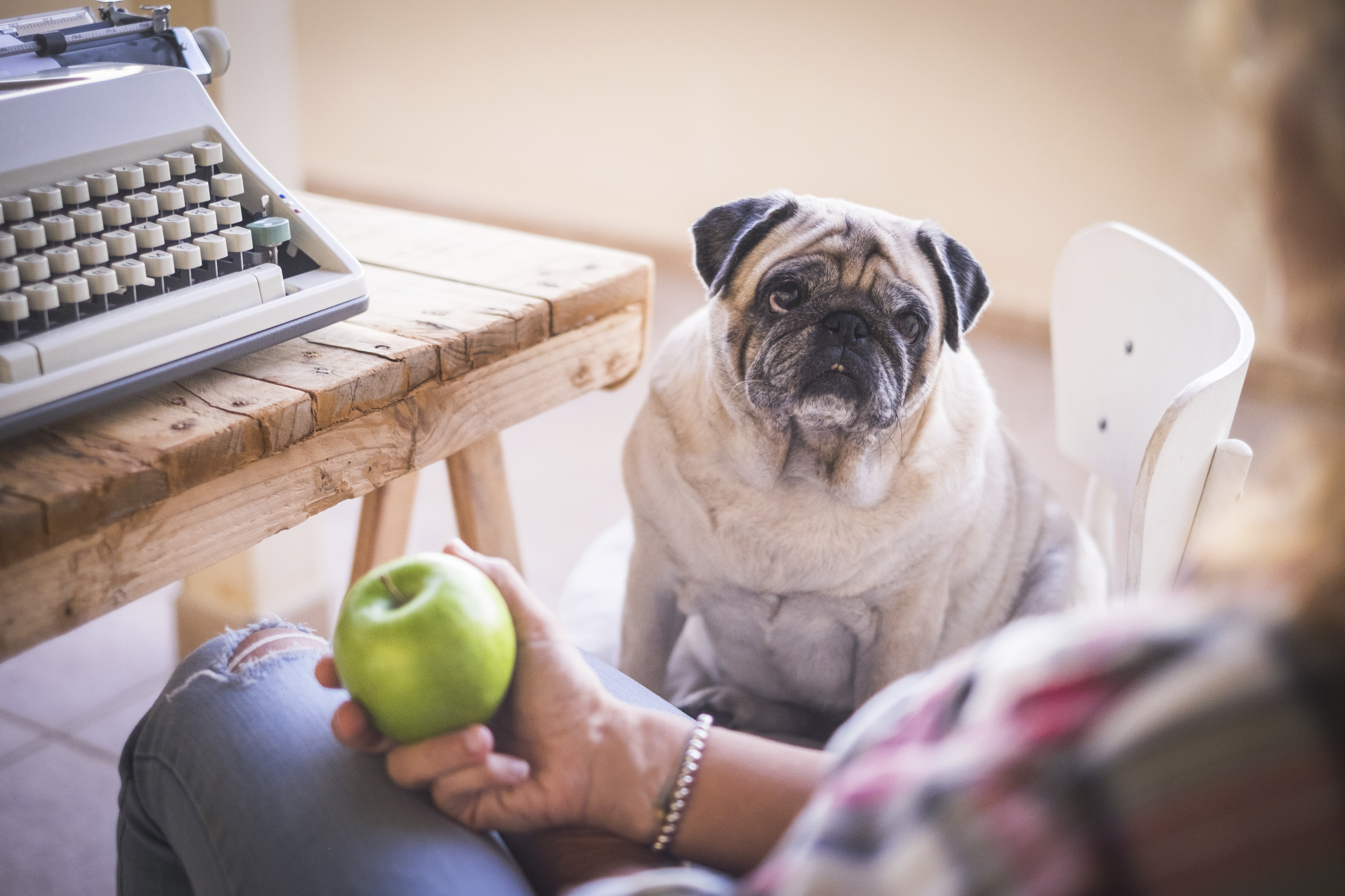 Welche Obstsorten darf mein Hund fressen?