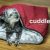 Cuddle Up Hunde Kuschelnest, 67 x 42 cm, burgundy/ silber