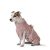 Lill`s Dog Hundebademantel aus Bio-Baumwolle Pink Berry XXL